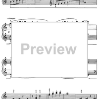 Garden Pools in Kyoto