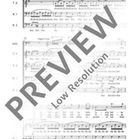 The Bird Catcher's Aria