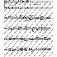 Concerto D Major - Piano Reduction