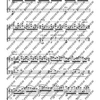 Cadenzas - Performing Score