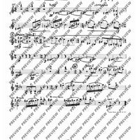 Little Concerto - Set of Parts