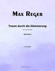 Traum durch die Dammerung, Op. 35, No. 3