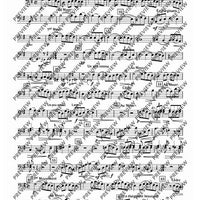 Pavane pour une infante défunte - Bass Recorder