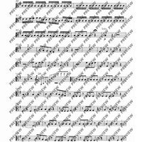 Concerto E Minor - Set of Parts