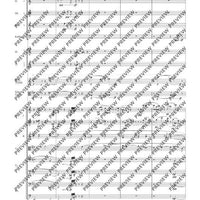 Double Concerto - Full Score