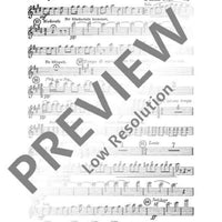 Friede den Menschen auf Erden - Score and Parts