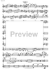 Jubilee Concerto for Celeia - Violin 1