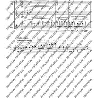 Cadenzas - Performing Score