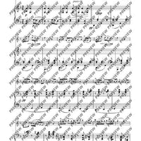 Hungarian Pastoral Fantasy - Score and Parts