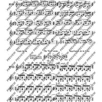 100 Technical Paraphrases on Kreutzer-Etudes