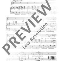 Gelsenkirchen (Die Heimatstadt)