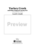 Turkey Creek and Other Songs - for String Trio - Violin 2 (for Viola)