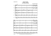 Salsa Verde for String Orchestra - Score