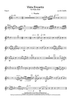 Vista Encanto - Flute 4