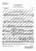Carmina Burana - Percussion 2