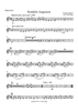 Rondalla Aragonesa - Euphonium