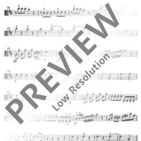 Concert D major - Viola