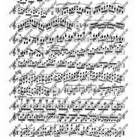 100 Technical Paraphrases on Kreutzer-Etudes