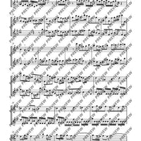 Sonata e minor - Performing Score