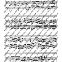 Grand Duo concertant