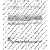 Cadenzas - Performing Score