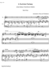A Summer-Fantasy - Score