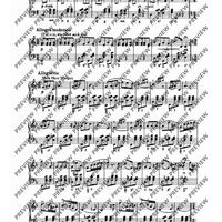 Das große Operetten-Buch für Akkordeon