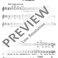 Das Jahr im Lied - Tenor