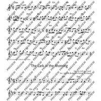 The Irish Flute Book