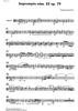 Impromptu No.22 Op.79