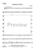 Whirling Novas - Baritone Saxophone