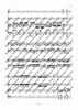 Concertino D Major - Piano Score and Solo Part