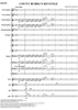 Count Bubba's Revenge - Score