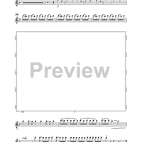 Warrior Legacy - Flute 1