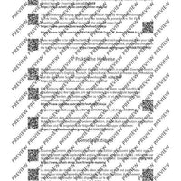 The Flute Expedition