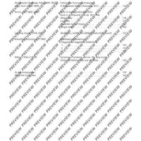 Flute Duets - Performing Score