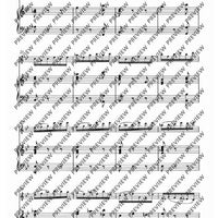 Sonatas and Partitas