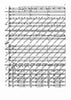 Il Vitalino raddoppiato - Full Score