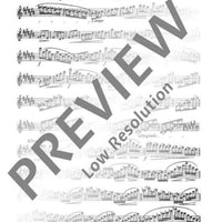 30 Virtuoso Etudes in all major and minor keys