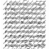 Concertino in D Major - Score and Parts
