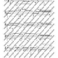 The Flute Expedition