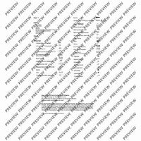 El Cimarrón - Performing Score