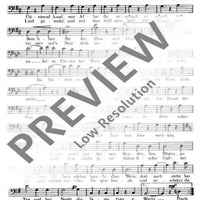 An der schönen blauen Donau - Bass Ii