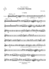 Circuite Suicus - Trumpet 2