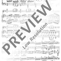 Caprice No. 20 B Minor