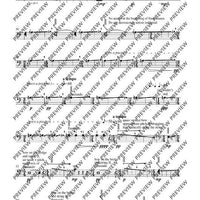 Adiantum Capillus-Veneris I (Maidenhair fern I)