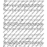 The Arrangements C-Flute(s) with Alto Flute