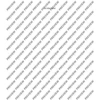 Adiantum Capillus-Veneris III (Maidenhair fern III)