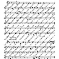 Tambourin - Set of Parts