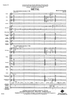Metal - Score